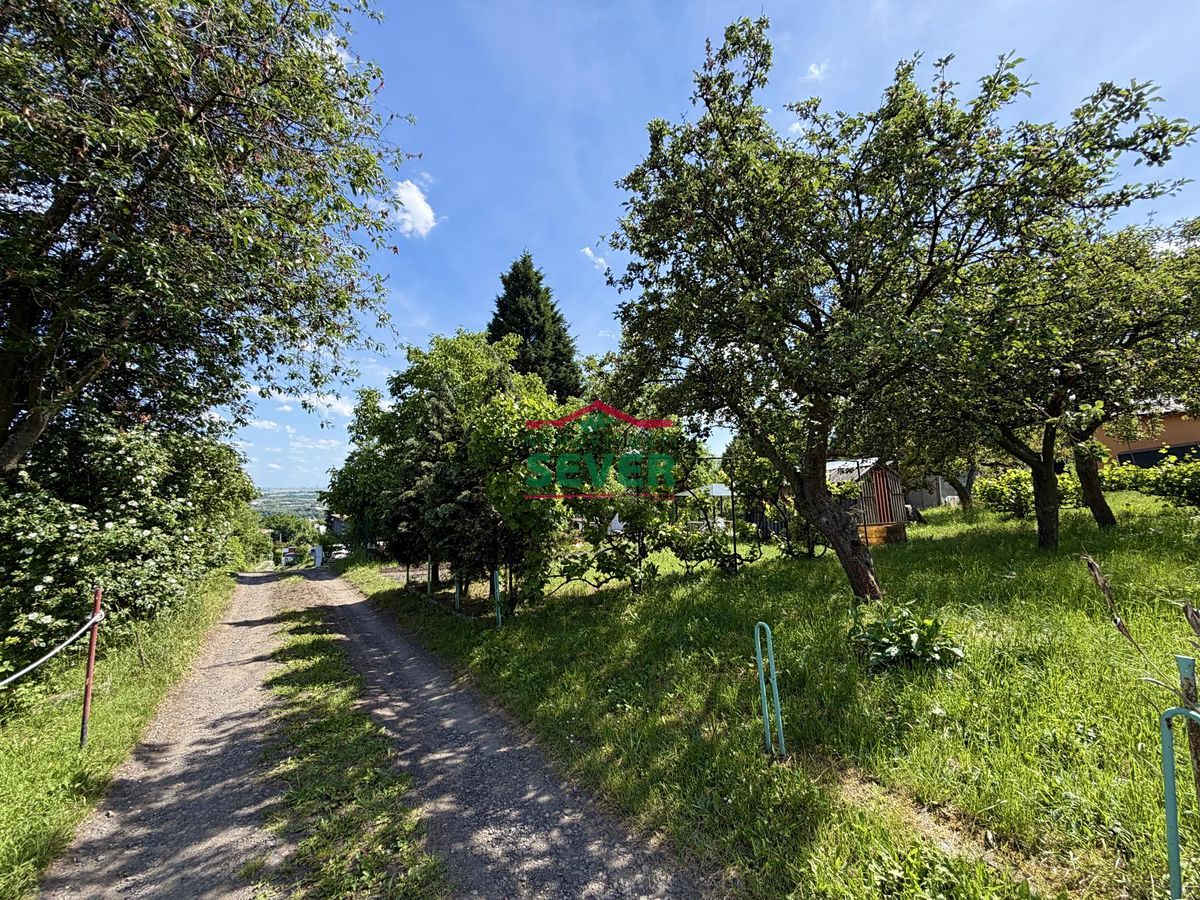 Prodej zahrady 308 m² – fotografie 5