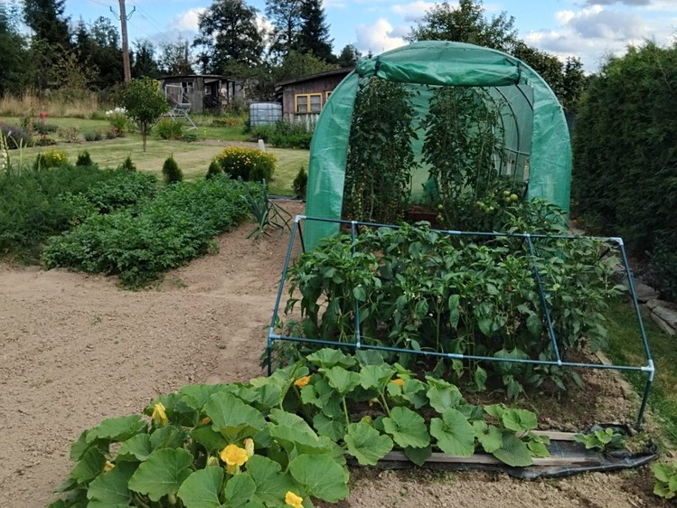 Grundstück zum Kauf, 350 m² (9 von 10)