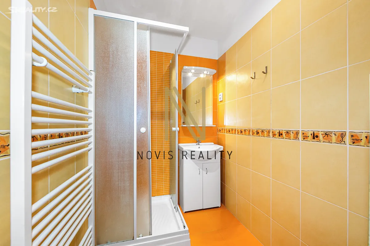 Pronájem bytu 1+1 30 m² - Więcej