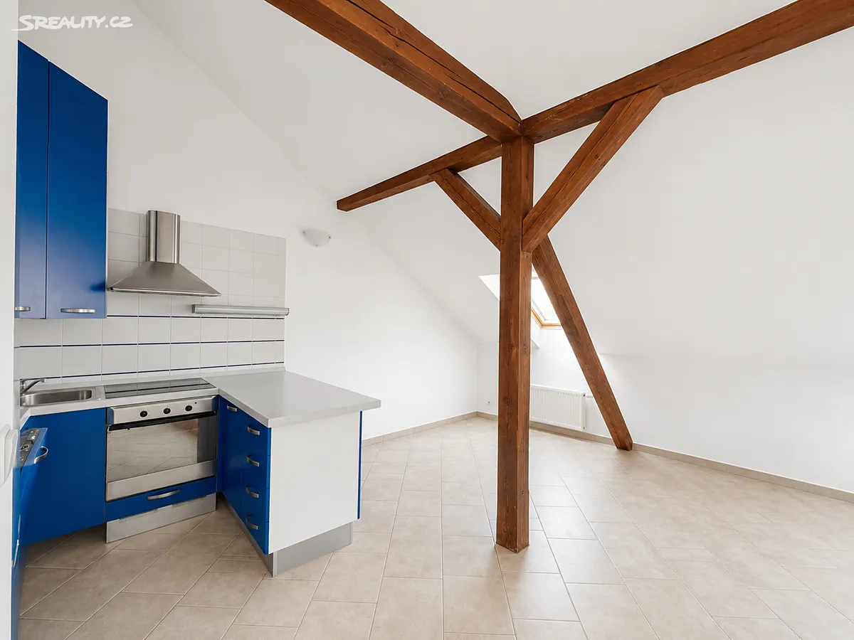Pronájem bytu 1+kk 99 m² – pohled 3