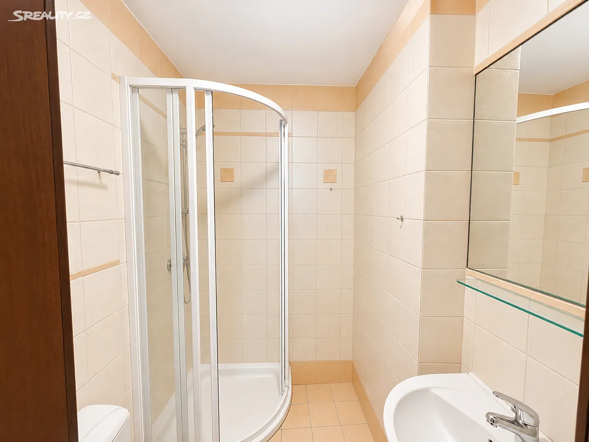 Pronájem bytu 2+kk 50 m² – pohled 5