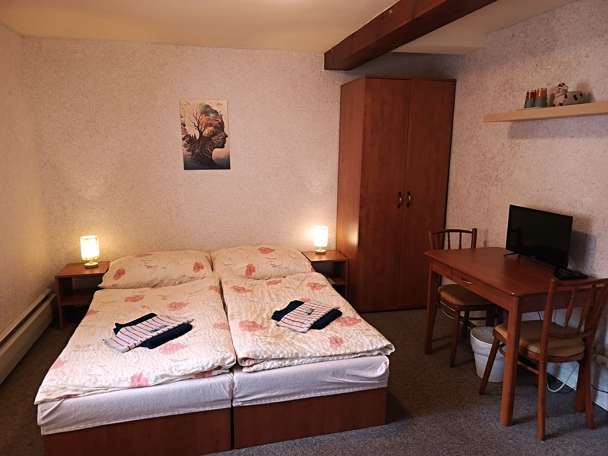 Prodej ubytovacího zařízení 398 m² – fotografie 5