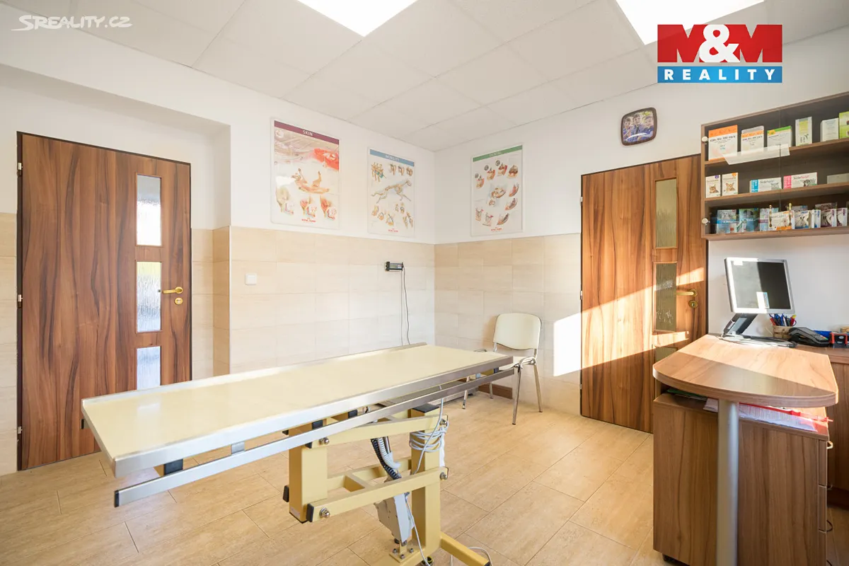 Prodej obchodního prostoru 202 m² – pohled 6