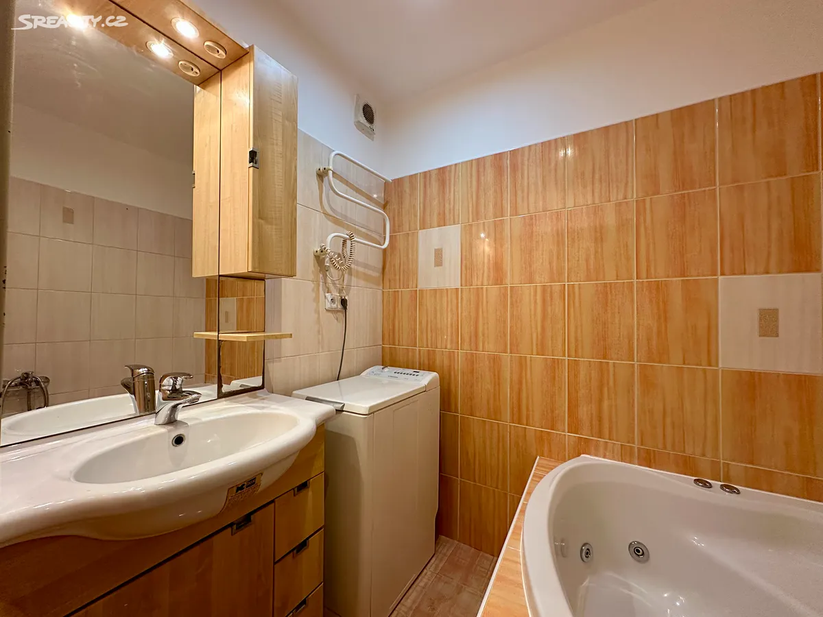 Pronájem bytu 2+kk 41 m² - Widok 6
