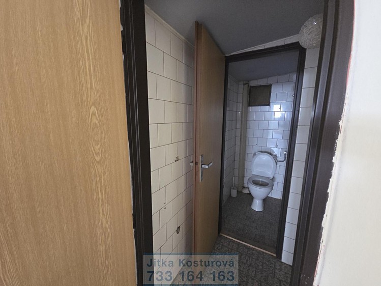 Pronájem komerčního prostoru, 100 m² (5 z 12)
