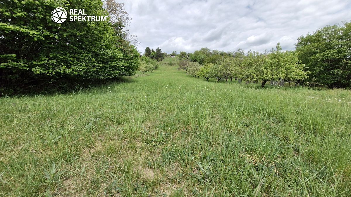 Prodej chaty 10 m², pozemek 3069 m² – fotografie 5