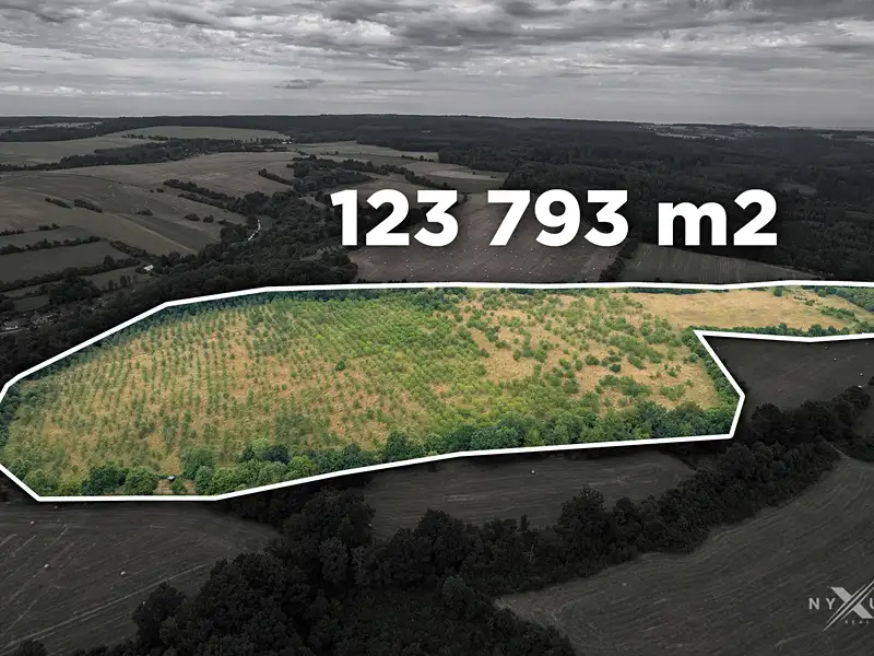 Prodej sadu, vinice 123793 m², Zbraslavice – náhled fotky 1