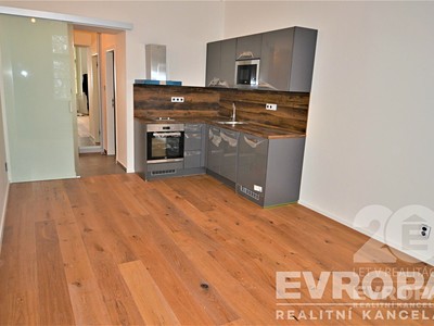 Pronájem bytu 1+kk, 29 m² (3 z 5)