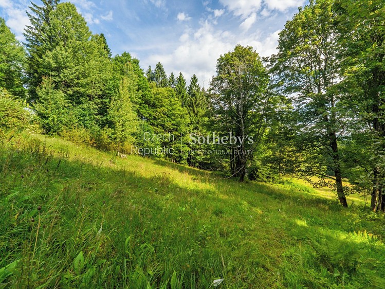 Prodej pozemku, 2 976 m² (16 z 20)