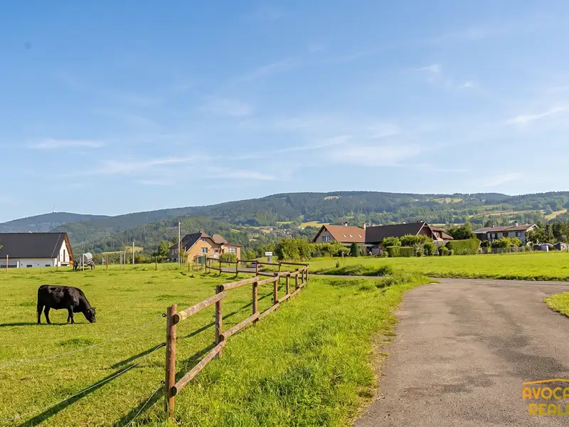 Prodej stavebního pozemku 2200 m², Bílá – náhled fotky 1