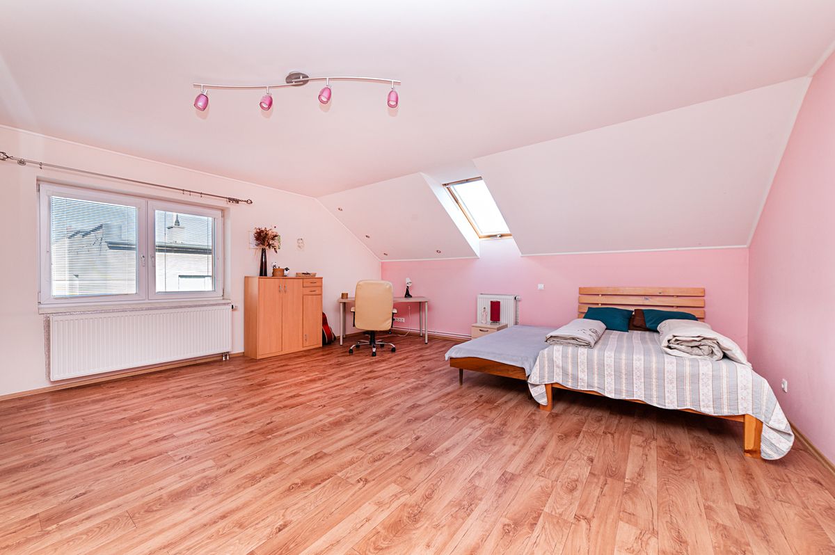 Prodej rodinného domu 450 m², pozemek 264 m² – fotografie 4