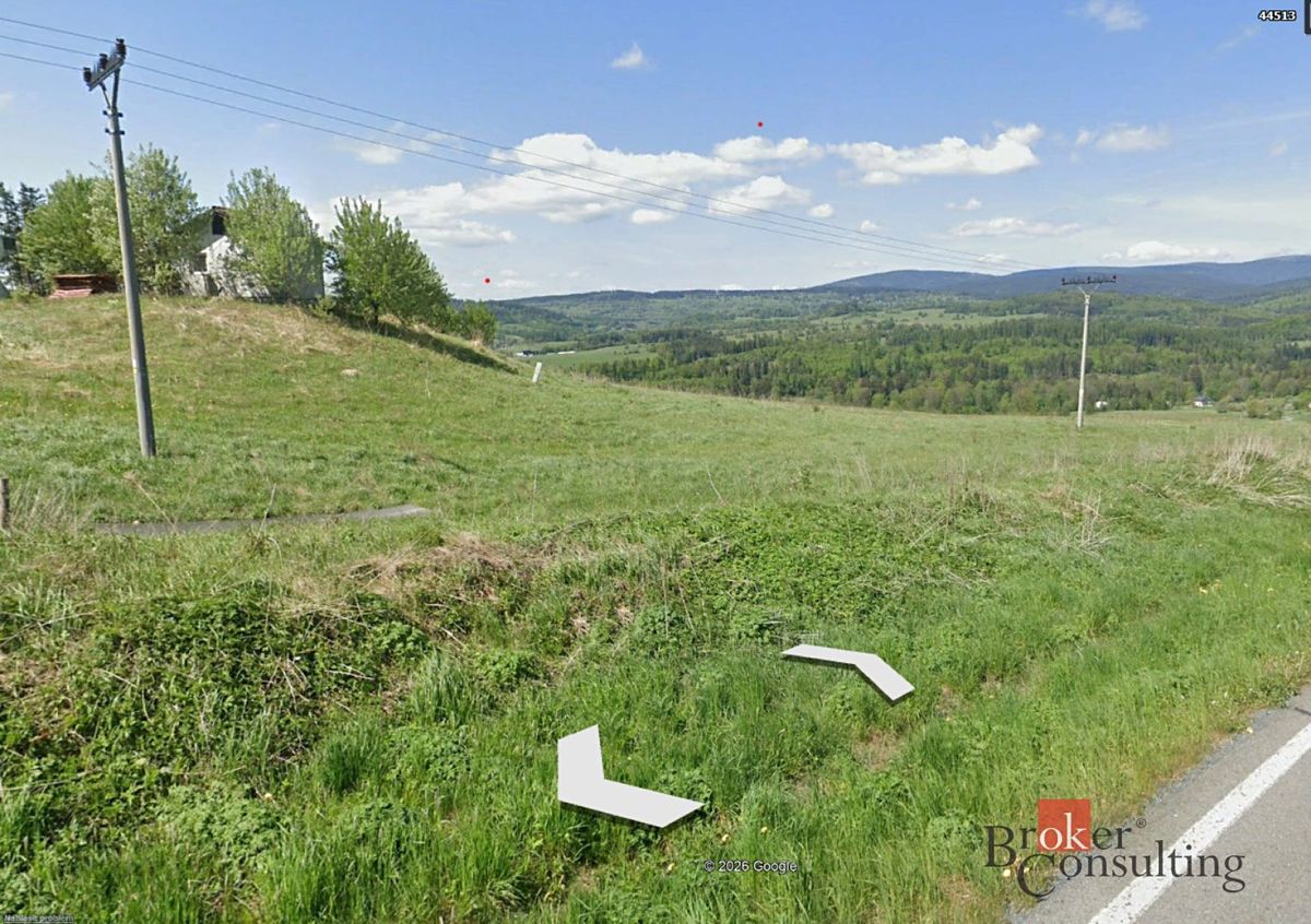 Prodej komerčního pozemku 5000 m² – fotografie 3