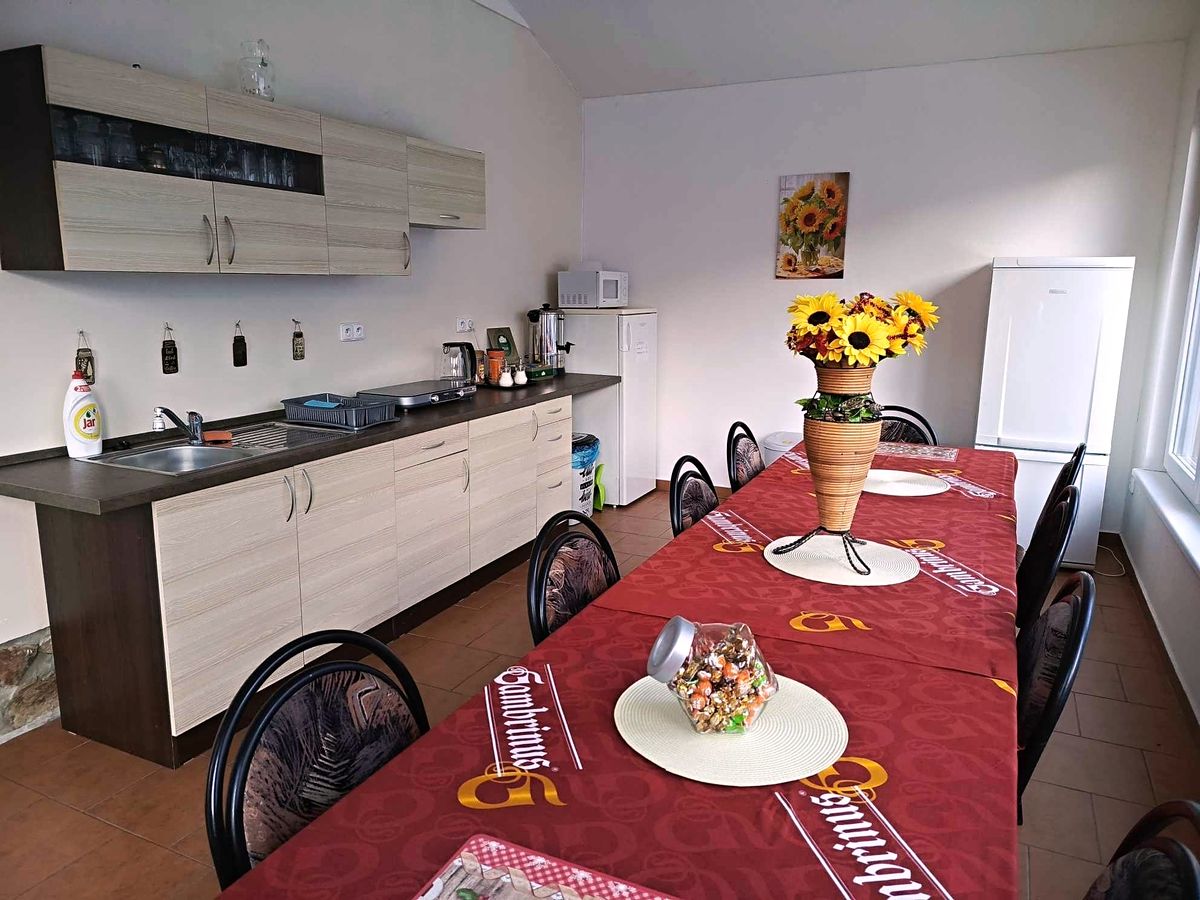 Prodej ubytovacího zařízení 398 m² – fotografie 3