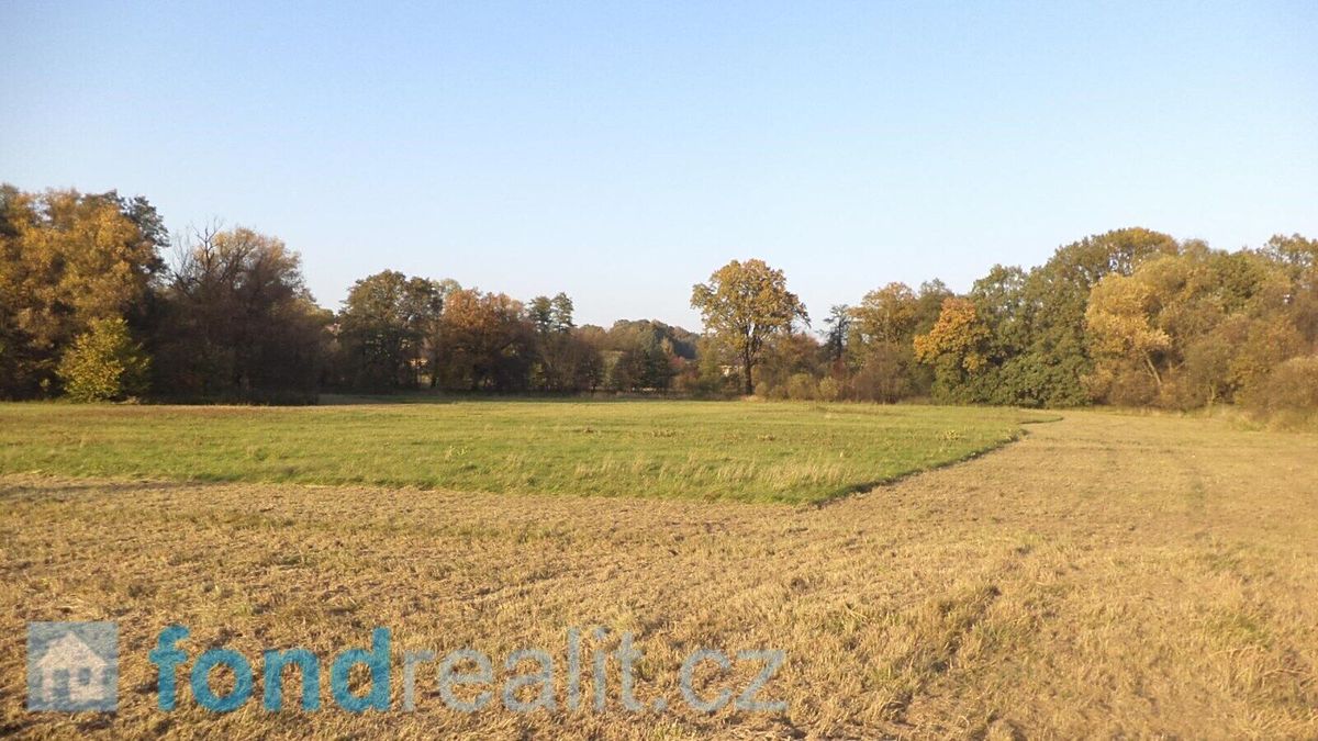 Prodej pozemku 6981 m² – fotografie 3