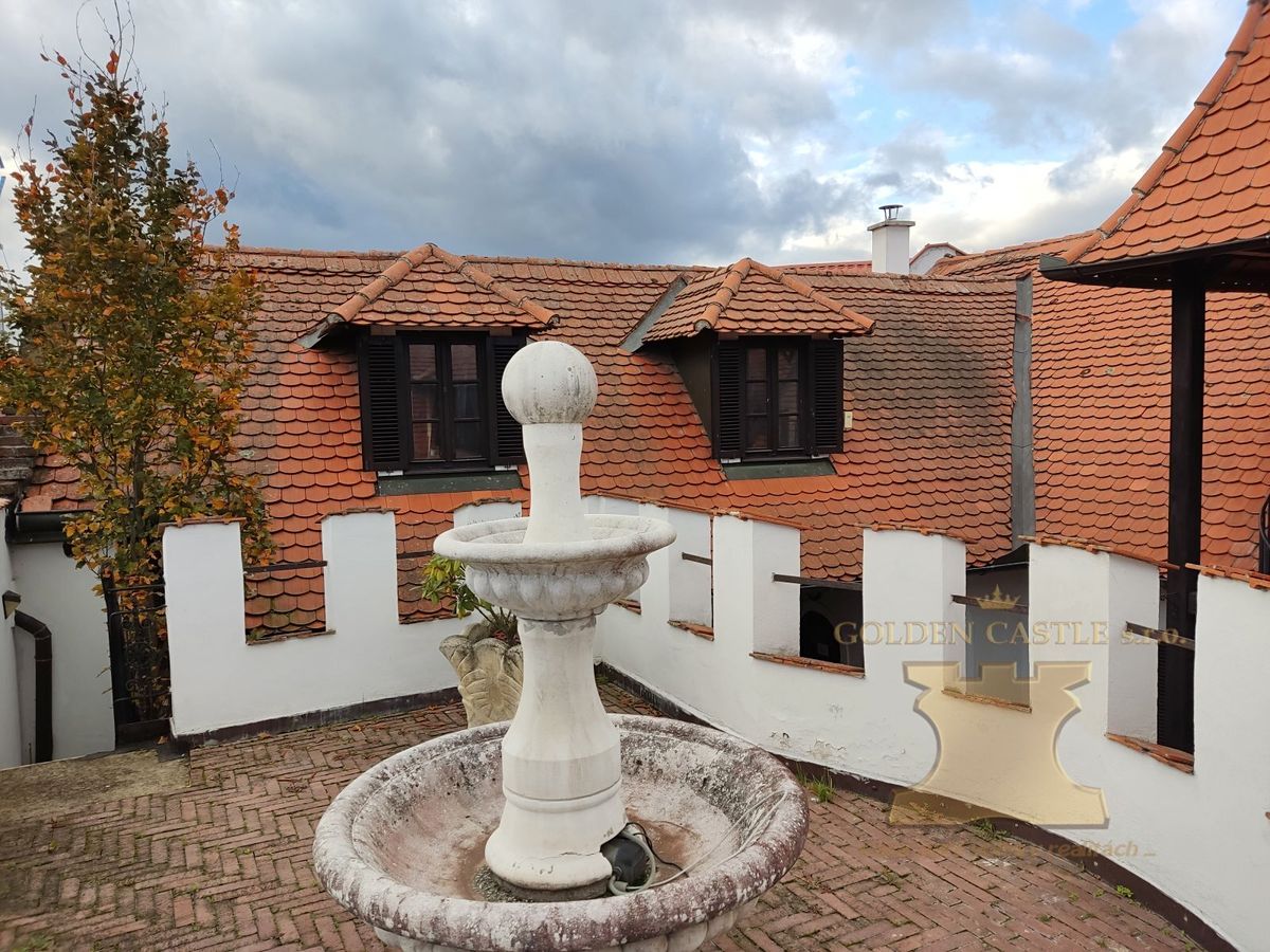 Prodej památky 350 m², pozemek 393 m² – fotografie 2