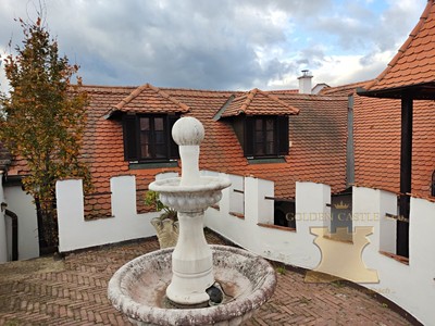 Prodej domu, 350 m² (2 z 22)