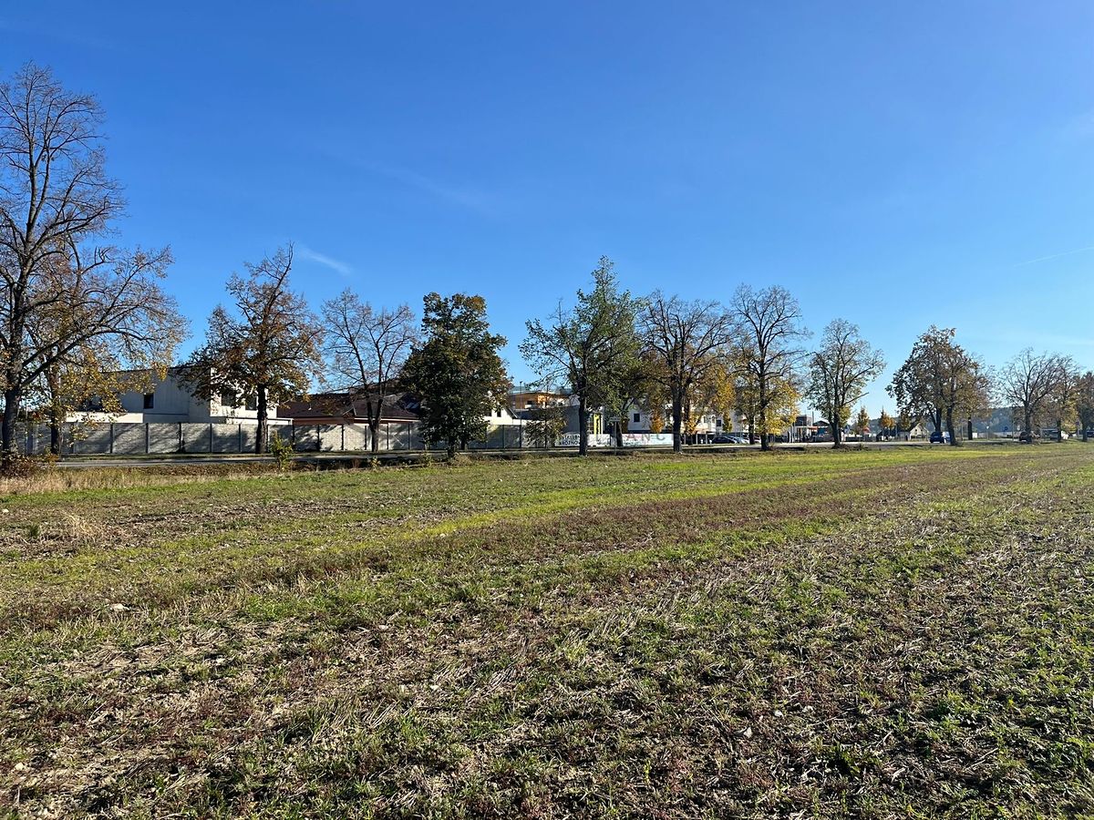 Prodej stavebního pozemku 3531 m² – fotografie 4