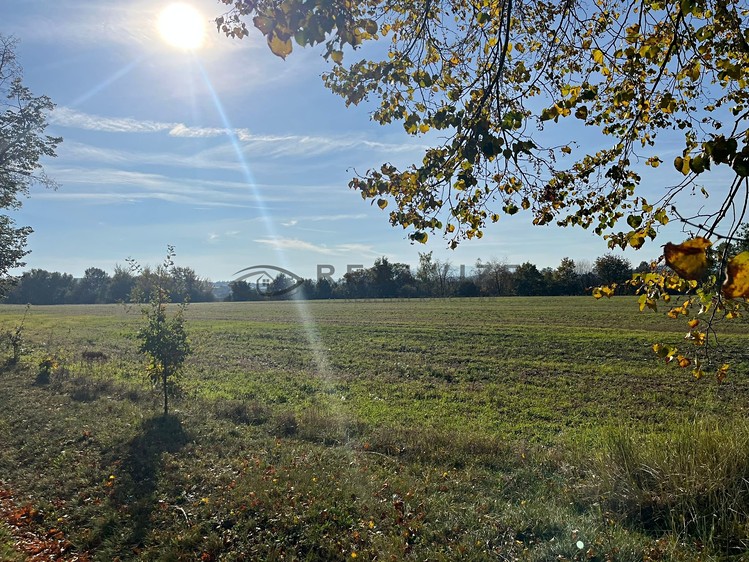 Prodej pozemku, 18 763 m² (9 z 10)