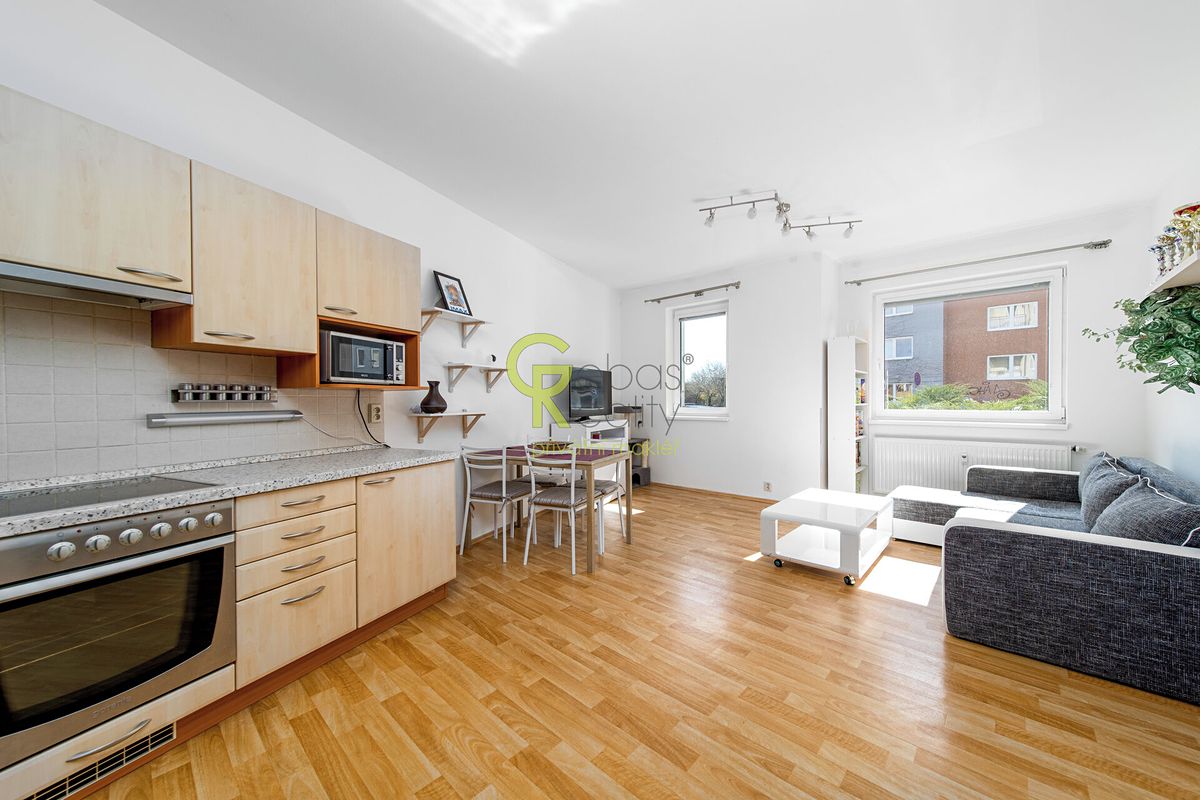Pronájem bytu 3+kk 67 m²