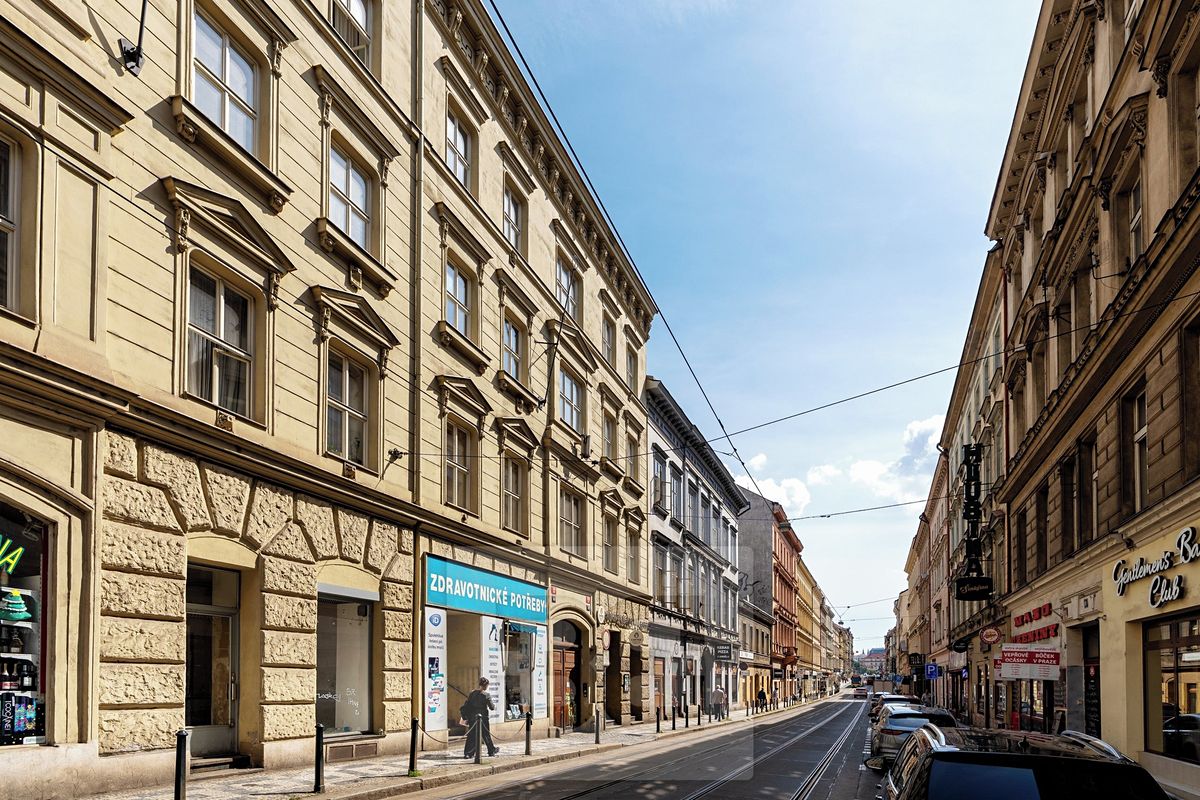 Prodej bytu 5+kk 185 m² – fotografie 3