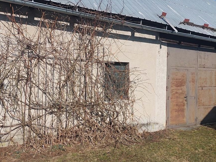 Gewerbefläche zum Kauf, 150 m² (4 von 19)
