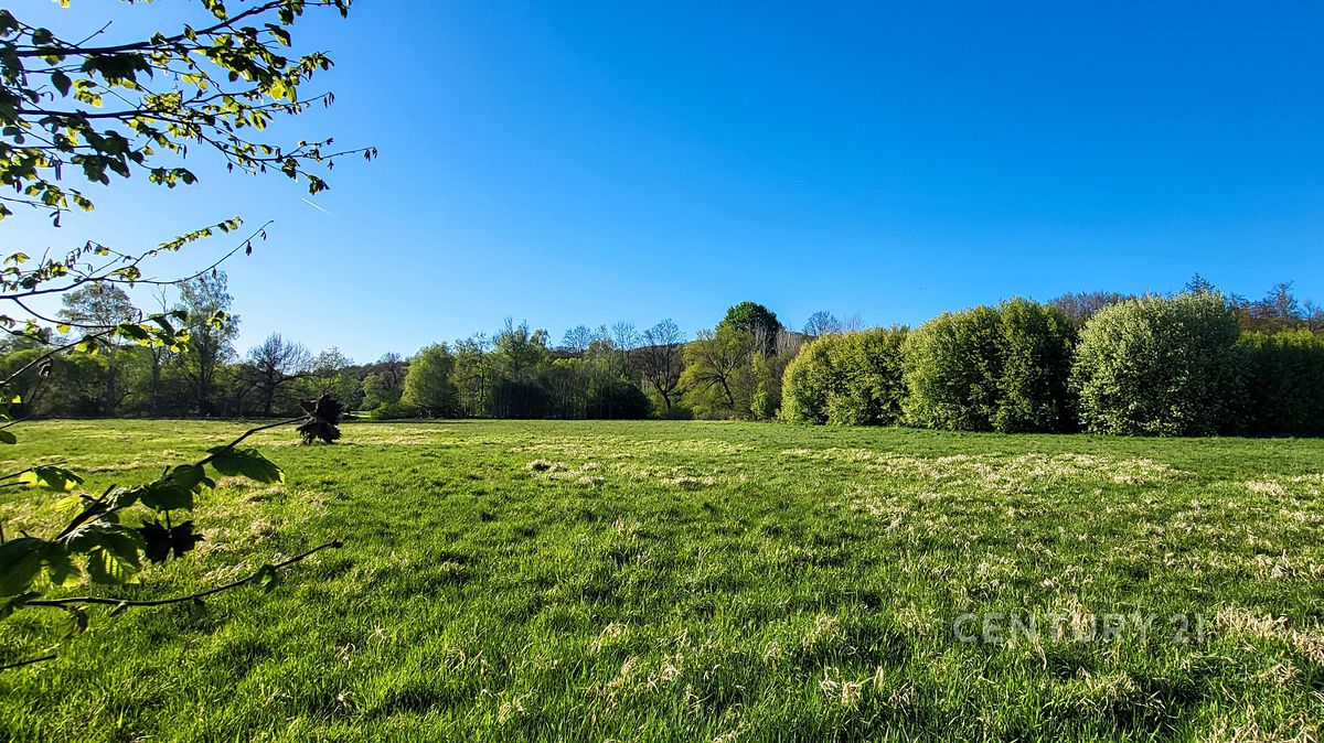 Prodej pozemku 59956 m² – fotografie 5