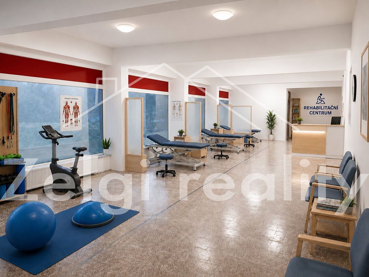 Pronájem obchodního prostoru 320 m² – fotografie 3
