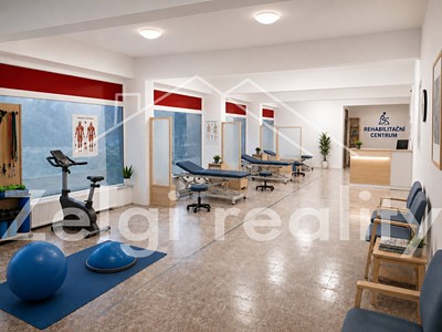 Комерційне приміщення в оренду, 320 м² (3 з 7)