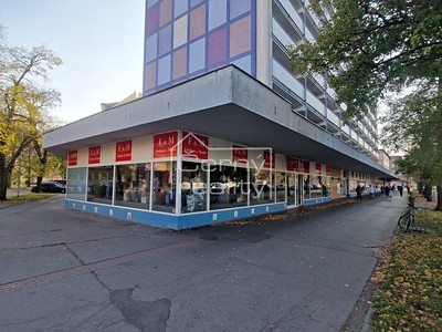 Pronájem obchodního prostoru 465 m²
