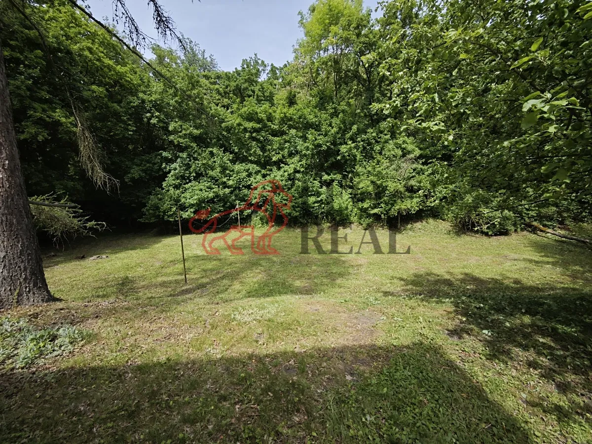 Fotka 20 z 27