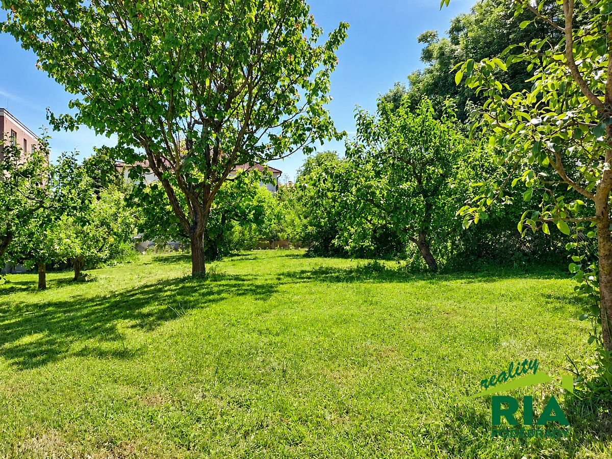 Prodej rodinného domu 210 m², pozemek 1220 m² – fotografie 3