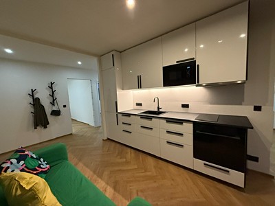Pronájem bytu 4+kk 47 m²