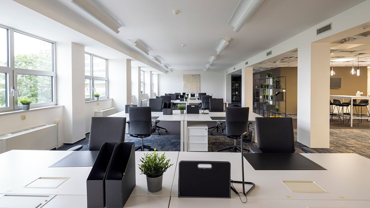 Pronájem kanceláře 405 m² – fotografie 2