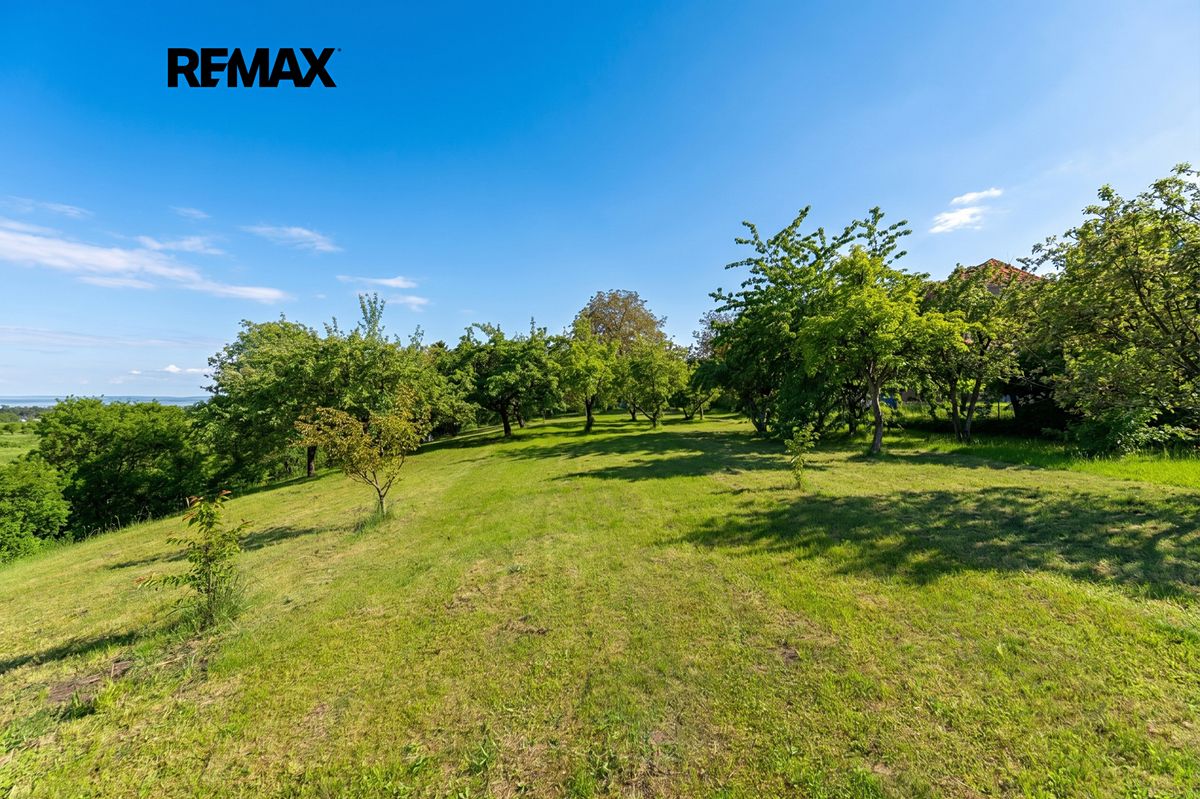 Prodej rodinného domu 225 m², pozemek 3499 m² – fotografie 2