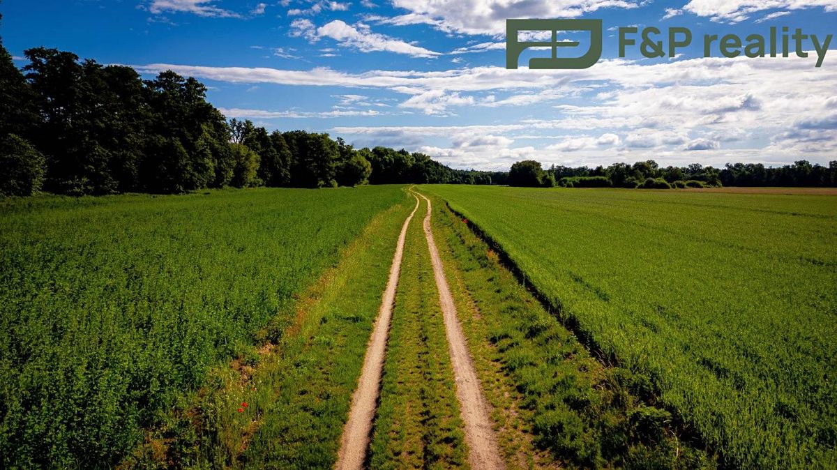 Prodej pole 26000 m² – fotografie 3