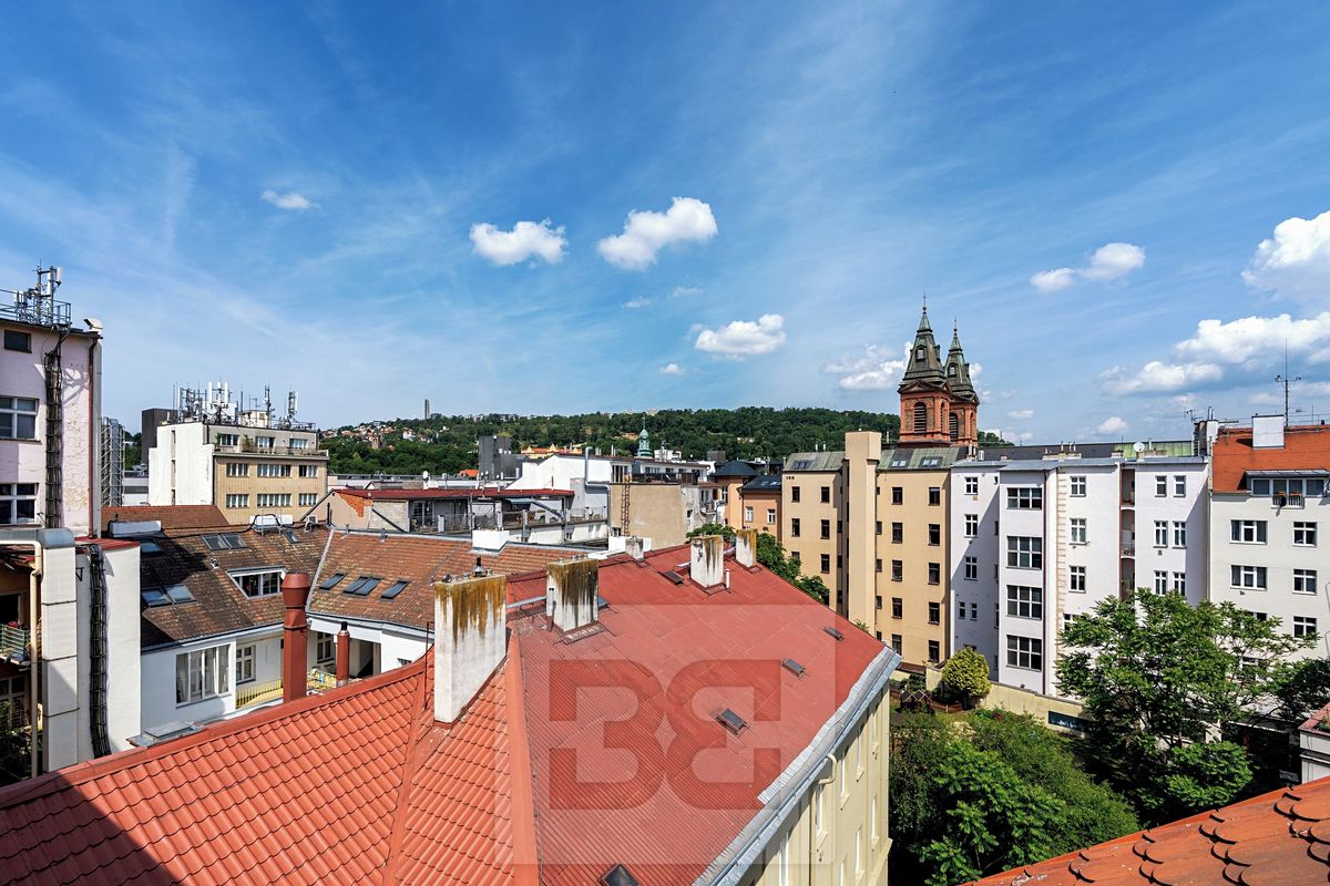 Prodej bytu 5+kk 185 m² – fotografie 5