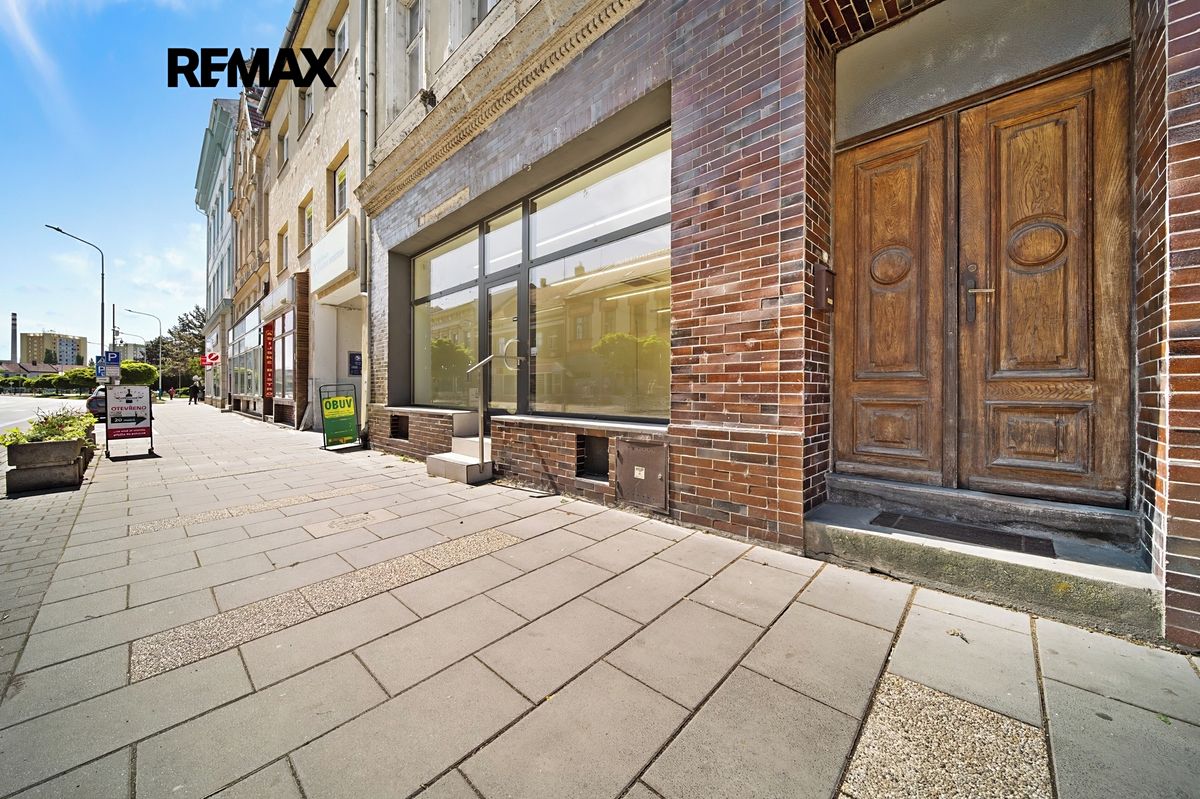 Prodej rodinného domu 340 m², pozemek 233 m² – fotografie 4