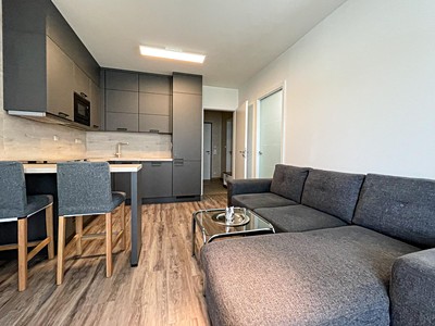 Pronájem bytu 1+kk 49 m²