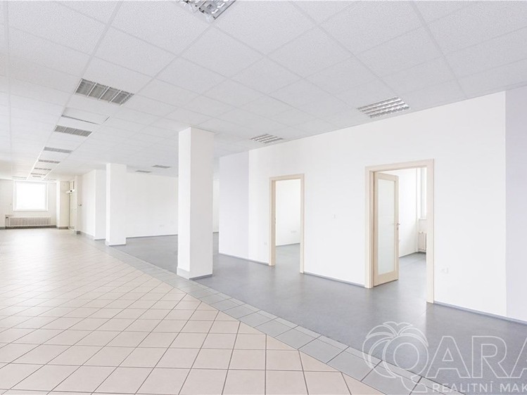 Комерційне приміщення в оренду, 549 м² (12 з 30)