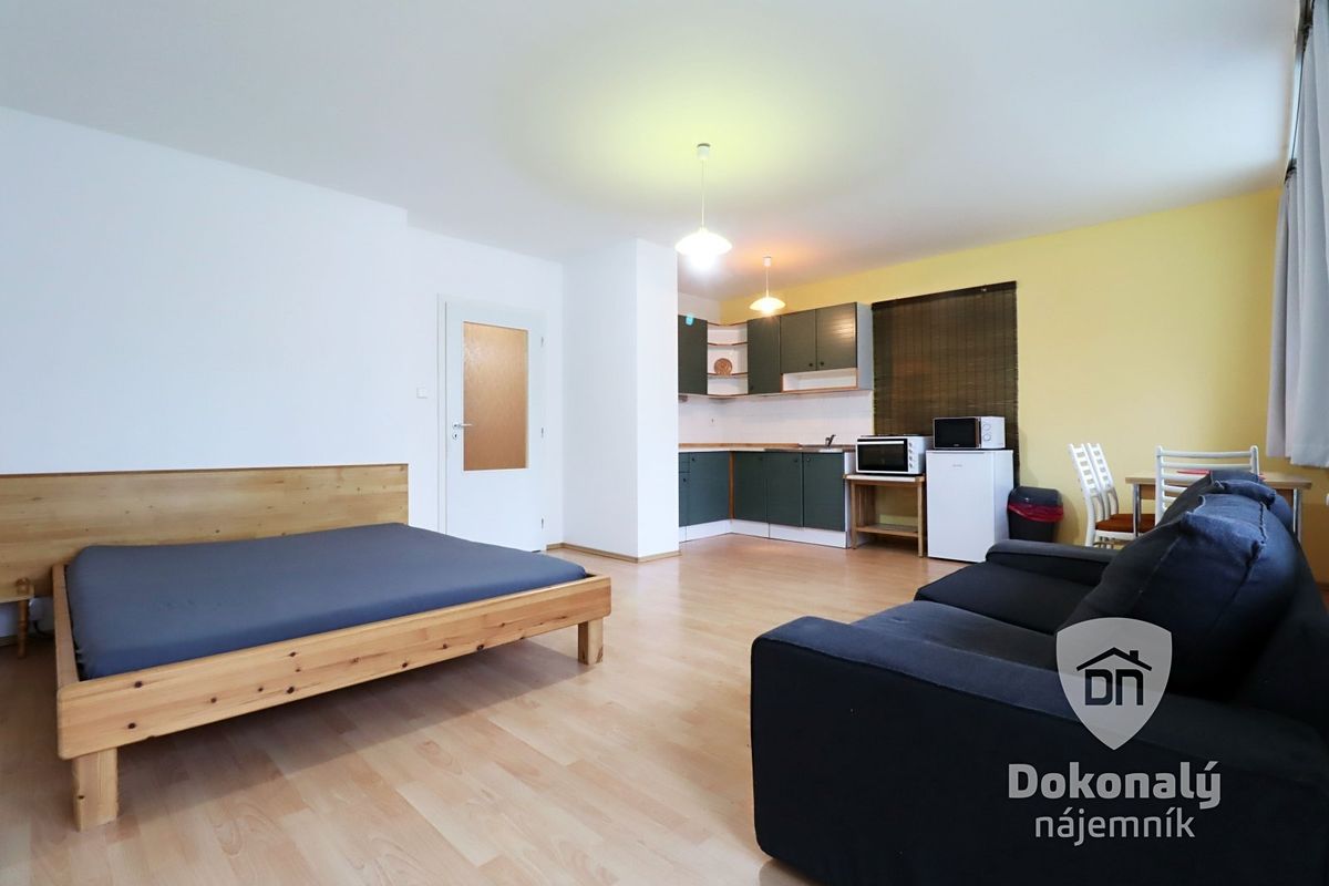 Pronájem bytu 1+kk 38 m²