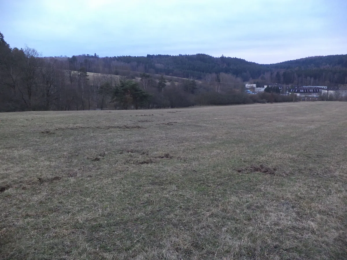Prodej pole 6625 m²