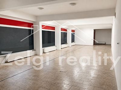 Pronájem obchodního prostoru 320 m²