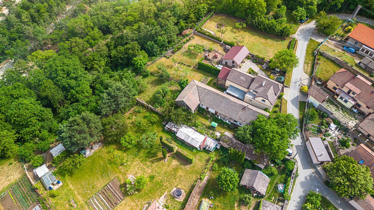 Prodej rodinného domu 137 m², pozemek 1393 m² – fotografie 3