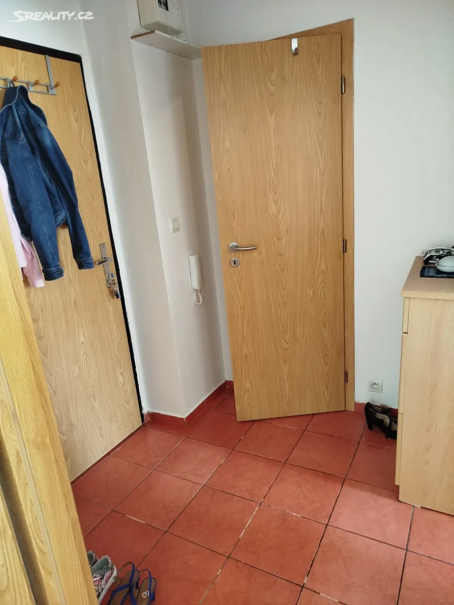 Pronájem bytu 1+1 40 m² – další