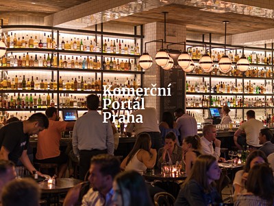 Pronájem komerčního prostoru, 220 m² (3 z 3)