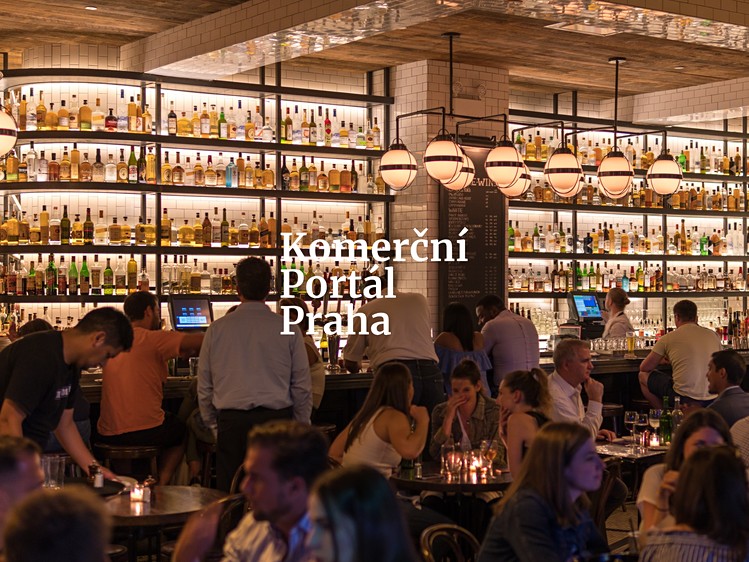 Pronájem komerčního prostoru, 220 m² (3 z 3)