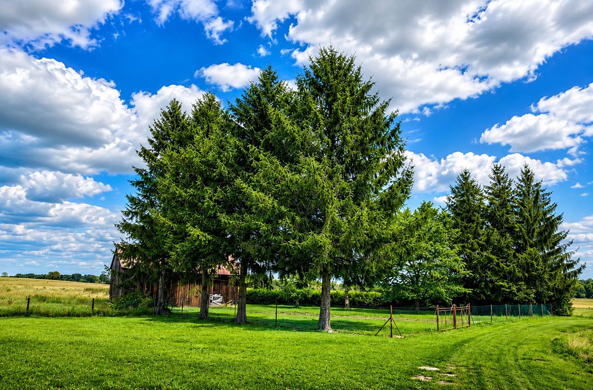 Prodej stavebního pozemku 1365 m² – fotografie 2
