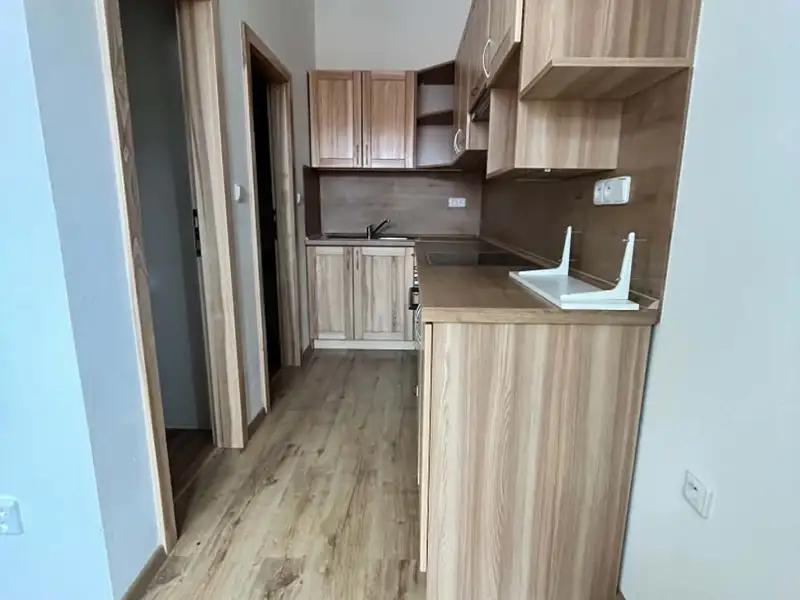 Pronájem bytu 2+kk 45 m², Horní Benešov – náhled fotky 3