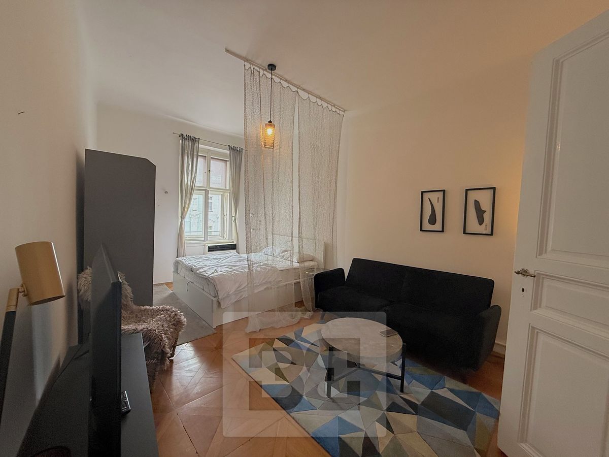 Pronájem bytu 1+1 37 m²