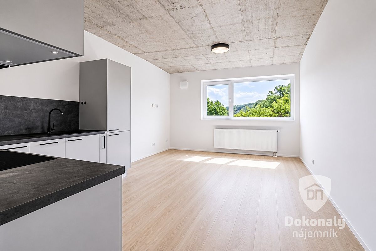 Pronájem bytu 1+kk 37 m²